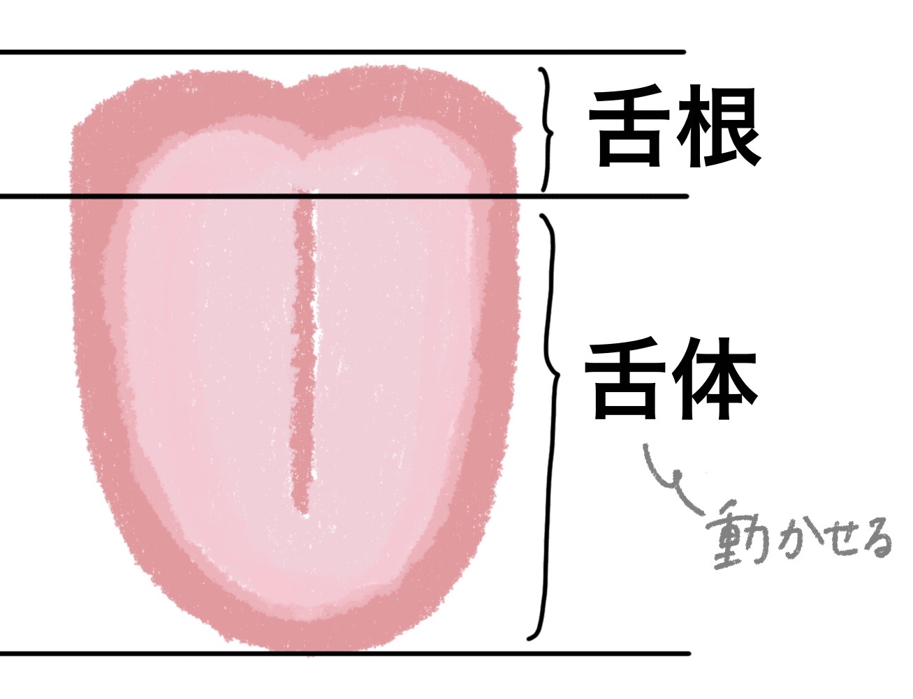 舌 の 偏 位 と は