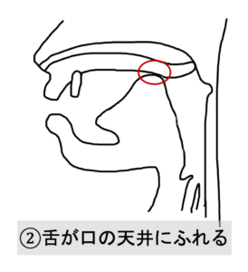 母音と子音 発音するときの舌の動き 口の構造を言語聴覚士が解説 吃音 滑舌改善サイト