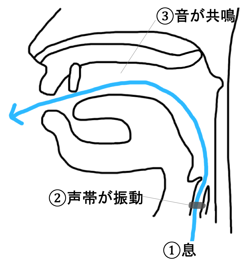 声 が かすれる 治し 方 子供